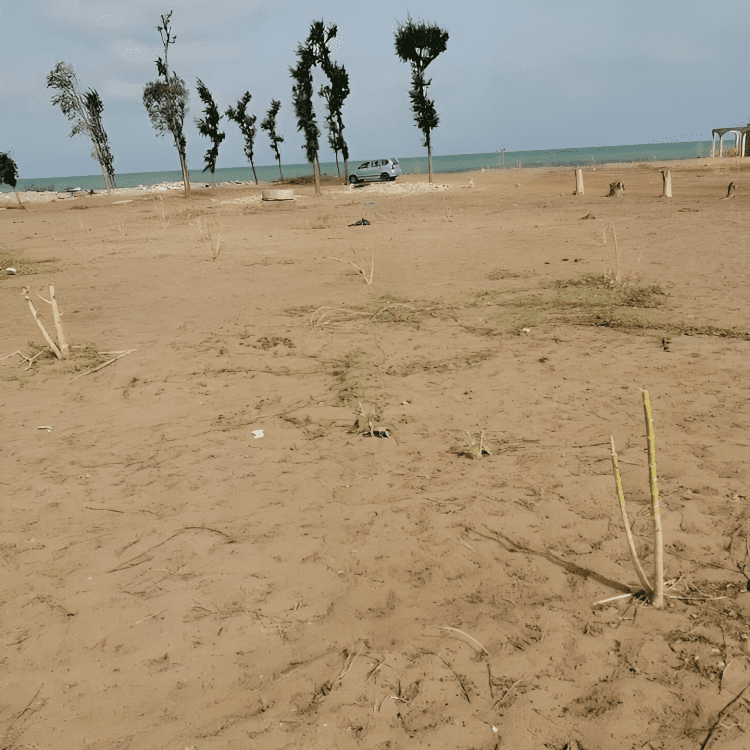 photo 1 20 720x720 1